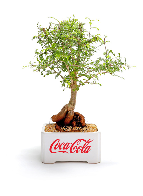 עציץ ממותג - Coca-Cola